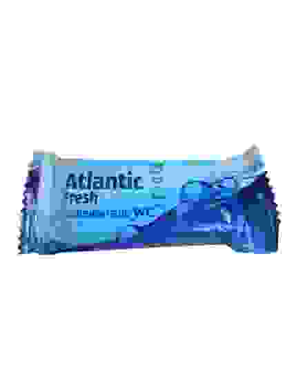 СВЕЖИНКА Зап.Блок д/туалета Atlantic Fresh 30г /24