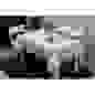 Скатерть на основе ПВХ LACE (0,22мм*1,32м*20м) LA-3 (DM-10004U)/20м