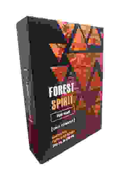 ПН FOREST SPIRIT (Шампунь д/волос 250мл+Гель д/душа 250мл)/24
