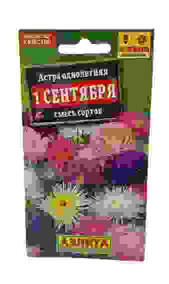 Астра 1 сентября, смесь окрасок цв/пак/10