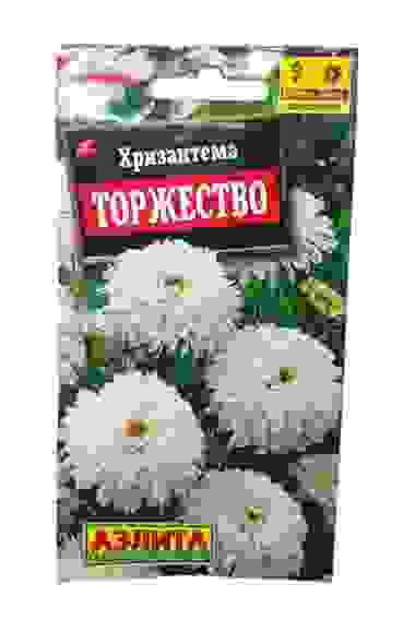 Хризантема букетная Торжество цв/пак/10